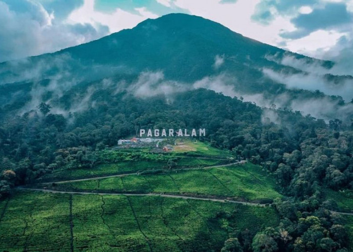 Enam Fakta Kota Pagar Alam Menggempari Indonesia 