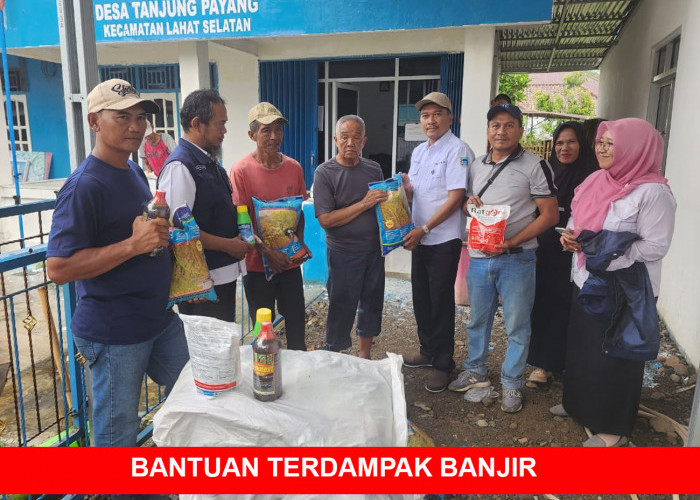 Petani Padi di Selike Tanjung Payang Dapat Tersenyum, Tim Dinas TPHP Lahat Bawa Bantuan ini
