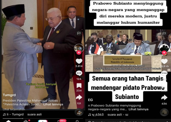 Viral, Pidato Prabowo Bela Palestina di DK PBB, Tegas dan Jelas, Presiden Palestina Langsung Temui Prabowo