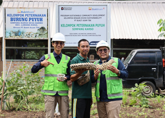 Program Desa Impian Antarkan PTBA Raih Penghargaan Internasional