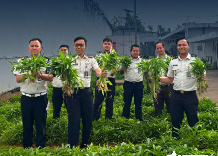 Panen Kangkung Capai 72,2 Kilogram, Rutan Kelas I Palembang Perkuat Program Ketahanan Pangan Nasional