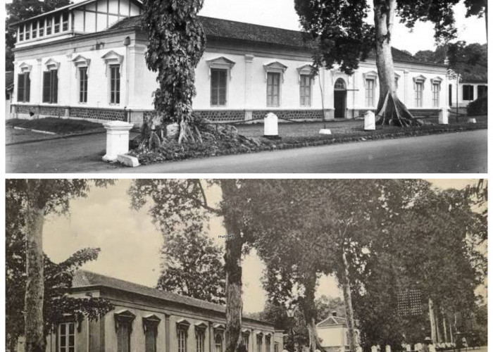 Menelusuri Sejarah Museum Zoologi Bogor, Rumah Koleksi Fauna Indonesia yang Penuh Cerita