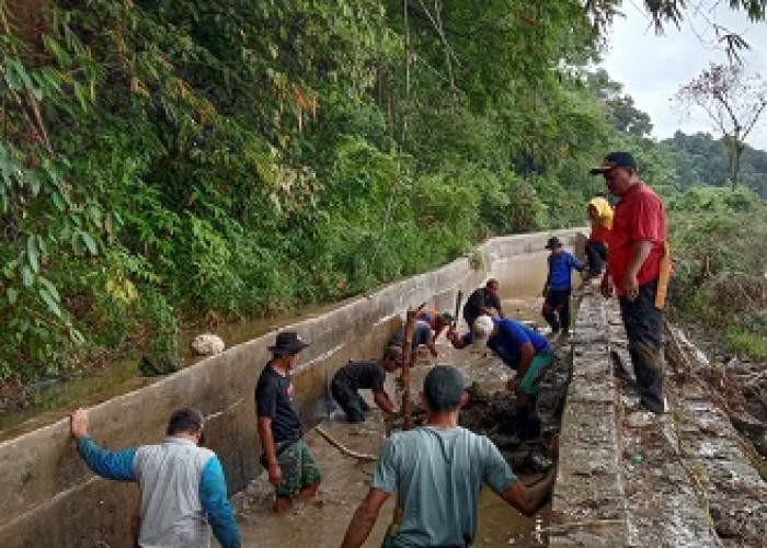 Warga 4 Desa Gotong Royong di Kepala Siring Irigasi Lematang 2