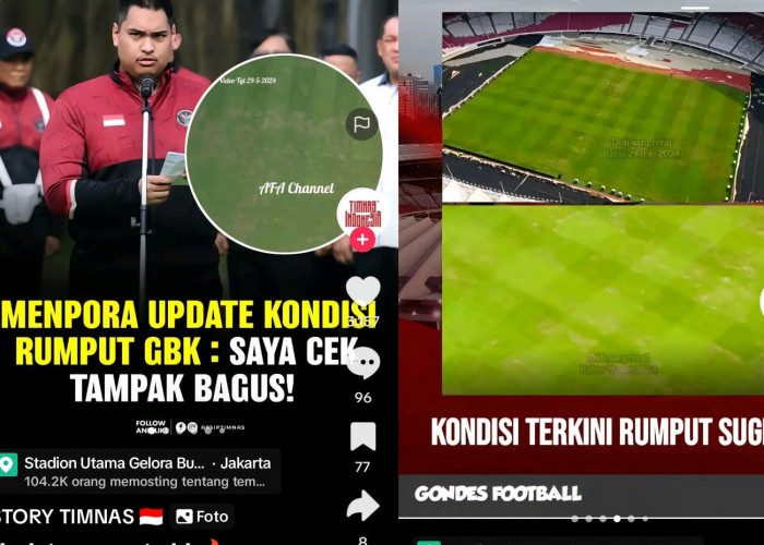 Polemik Rumput Lapangan Stadion Gelora Bung Karno, Menpora Angkat Bicara, Irak vs Indonesia, Piala Dunia