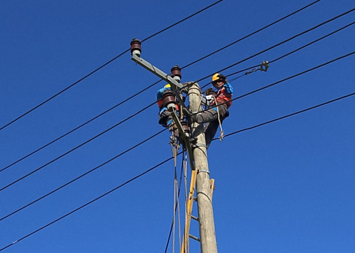 PLN ULP Baturaja Gerak Cepat Pulihkan Kelistrikan Pascagangguan Akibat Pohon Roboh