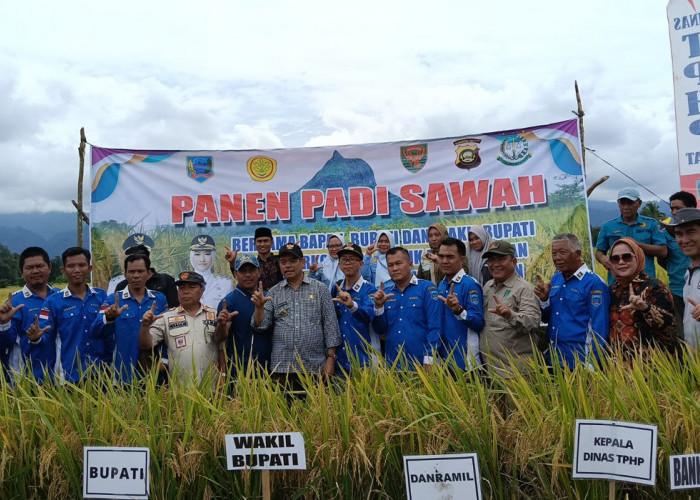 Panen Padi Sawah di Desa Pagar Jati Dihadiri Bupati Lahat Bursah Zarnubi