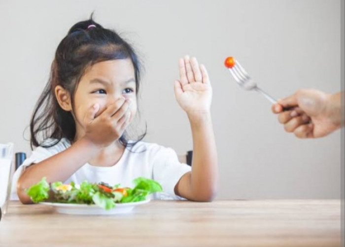 Auto Berhasil, Simak Tips dan Trik Mengatasi Anak Susah Makan