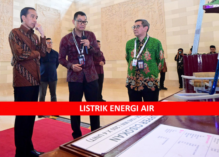 Dirut PLN Paparkan Pengembangan Listrik Energi Air kepada Presiden Jokowi