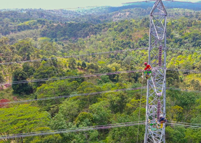 Rampungkan Pembangunan SUTT 150 kV Lubuk Linggau-Tebing Tinggi, PLN Perkuat Sistem Kelistrikan Sumsel