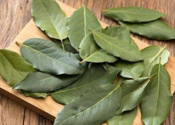 6 Rekomendasi Obat Herbal untuk Membantu Mengontrol Diabetes