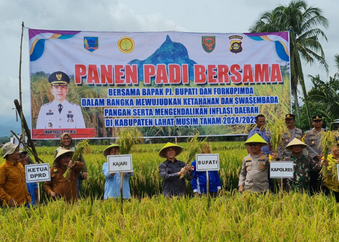 Tekan Inflasi Daerah, Polres Lahat Bersama Pj Bupati Lahat dan Forkopimda Panen Padi di Kikim Selatan