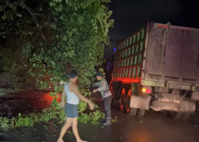 Polsek Merapi Barat Polres Lahat Sigap Tanggapi Dahan Pohon Roboh di Jalinsum Sirah Pulau