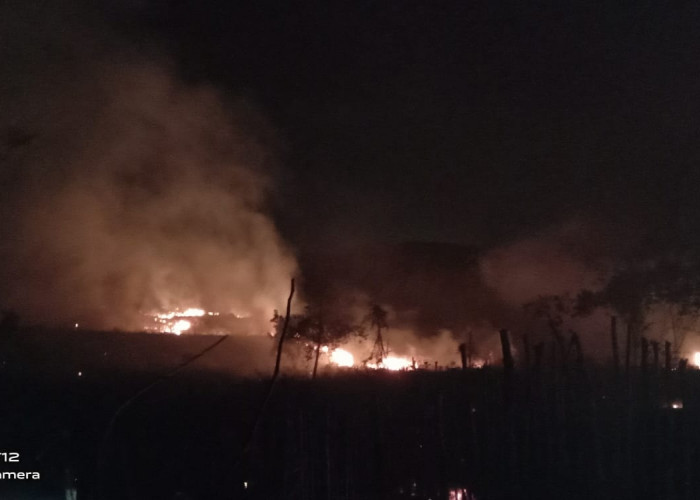 Suara Blangwir Malam malam Kejutkan Warga Tanjung Payang Ternyata Ada Kebakaran
