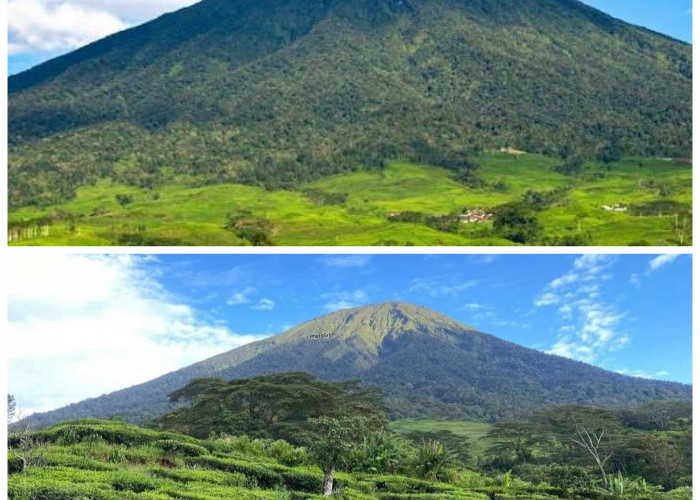 Gunung Dempo Pagaralam: Jejak Sejarah dan Pesona Alam yang Melegenda