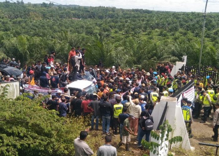 Ribuan Massa Datangi Kantor PT SMS Kikim Barat Lahat, Tuntut Pengembalian Lahan Eks-HGU