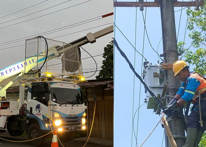 Pastikan Distribusi Listrik Tetap Aman, PLN Lahat Lakukan Pemeliharaan Jaringan untuk Hadapi Cuaca Ekstrem