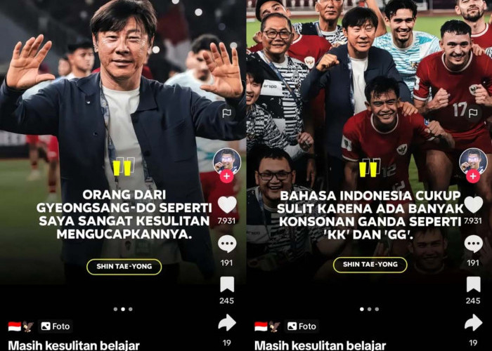 Pengakuan Shin Tae Young Belajar Bahasa Indonesia, Pelatih Asal Korea Selatan, Kualifikasi Piala Dunia 2026