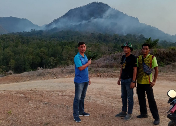 Lebih Dari 100 Hektar Lahan Di Kecamatan Merapi Barat Hangus Terbakar 