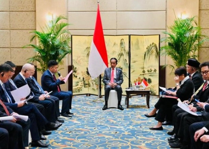 Tegaskan Komitmen Menjaga Investasi, Presiden RI Joko Widodo Bertemu Pengusaha Tiongkok