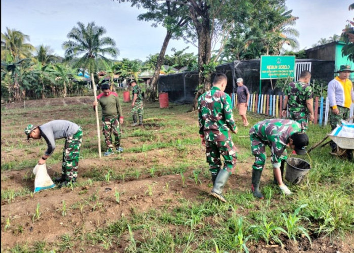 Ketahanan Pangan, Prajurit Kodim 0405/Lahat Lakukan Ini di Lahan Kosong Makodim?