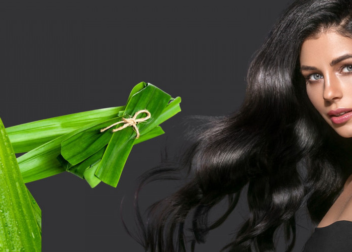 Cuma Modal Daun Pandan, Rambut Hitam Bak Model  Shampo  internasional 