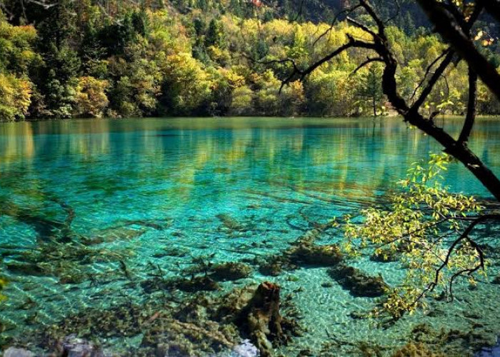 7 Rekomendasi Wisata Jambi yang Wajib Masuk Daftar Liburan Anda