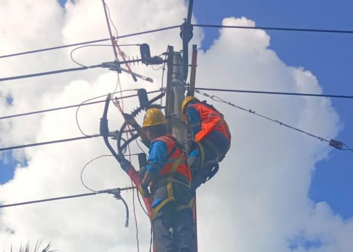 PLN ULP Lembayung Gerak Cepat Pulihkan Listrik di Lahat Pasca Diterjang Hujan Angin