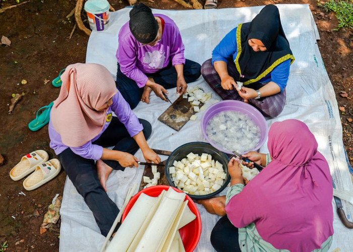 Kredit Macet Menurun, Direktur Utama BRI Ungkap Strategi Tingkatkan Kualitas Aset