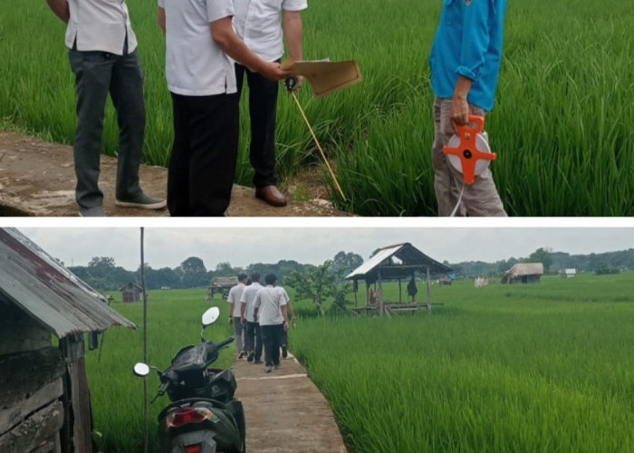 Selain Meningkatkan Produksi Pertanian Ternyata Administrasi Desa Tanjung Jambu Tertib Dan Rapi