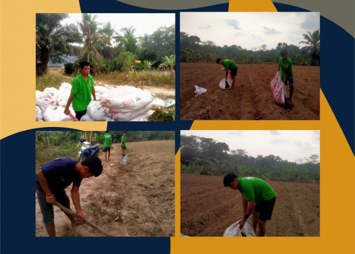 Lapas Tanjungpandan Finishing Bedengan Cabai, Dukung Pembinaan Kemandirian dan Ketahanan Pangan