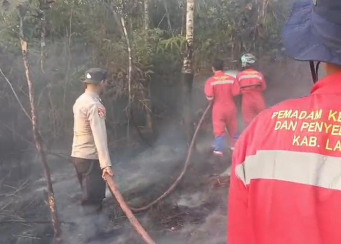 Lahan Semak Belukar Terbakar, Polsek Kota Agung Bersama Damkar Turun Tangan