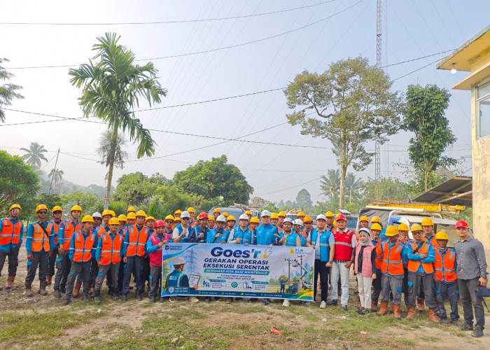 Tingkatkan Kehandalan Sistem Kelistrikan, PLN ULP Muaradua Gelar Pemeliharaan ROW dan HAR Konstruksi Gabungan