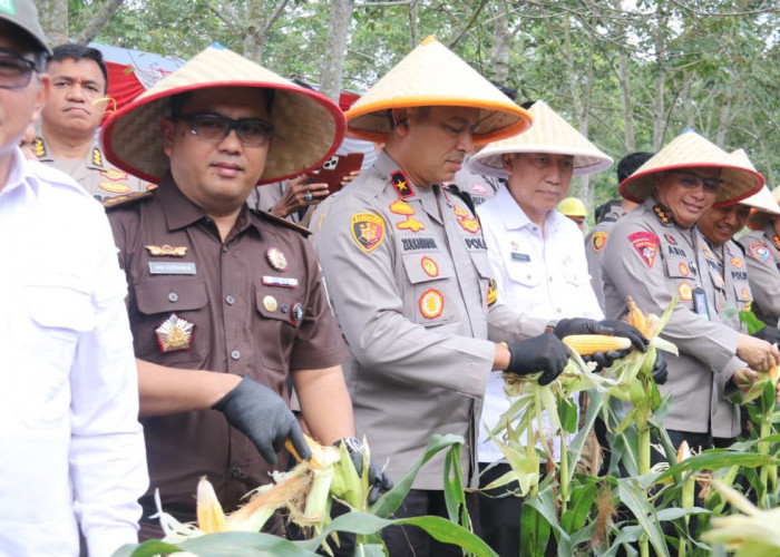 Kapolda Sumsel Hadiri Panen Raya Jagung Program Ketahanan Pangan di Ogan Ilir