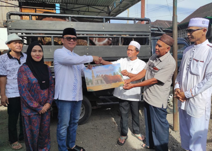 Sapi Bantuan Presiden Diserahkan di Empat Lawang, Joncik Muhammad: Semoga Jadi Berkah bagi Masyarakat