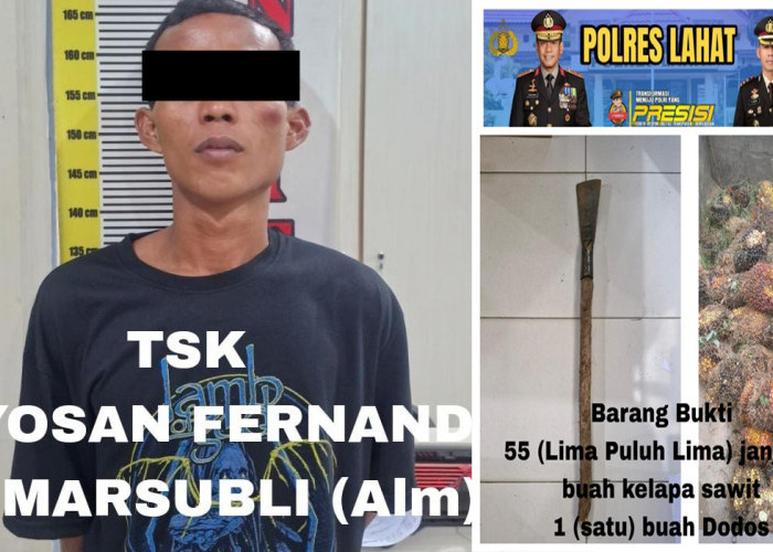 Tergoda Buah Sawit PT SMS, Yosan Terjaring Operasi Pekat Musi 2025 Team Jagal Bandit Sat Reskrim Polres Lahat