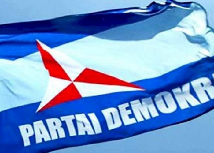 Tolak Sistem Pemilu Coblos Lambang Partai, Kader Demokrat ini Daftar ke MK