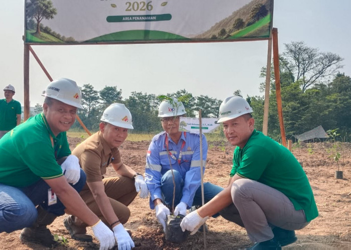Jaga Kelestarian Lingkungan PT GGB Tanam Pohon Di lokasi Eks Tambang 