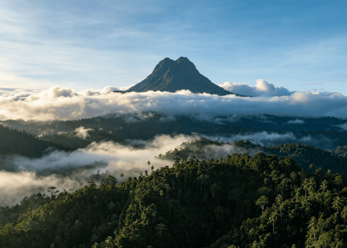 Gunung Latimojong, Puncak Tertinggi Sulawesi: Jejak Sejarah dan Kisah Legenda yang Kaya Makna