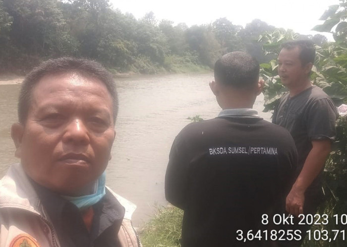 Tim BKSDA Turun Langsung Cek Keberadaan Buaya di Sungai Lematang, Ini Hasilnya 