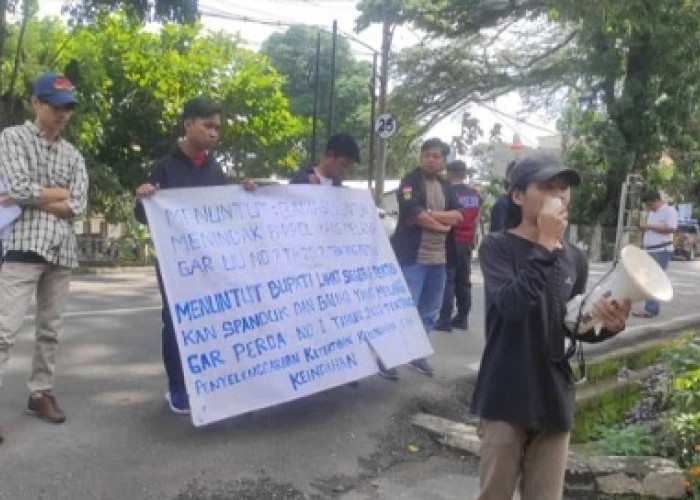 Relawan Demokrasi Indonesia (RDI) Melakukan Aksi ke Kantor Bawaslu Lahat, ini yang Disampaikan
