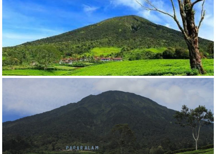 Gunung Dempo, Jejak Sejarah dan Pesona Gunung Tertinggi di Sumatera Selatan!