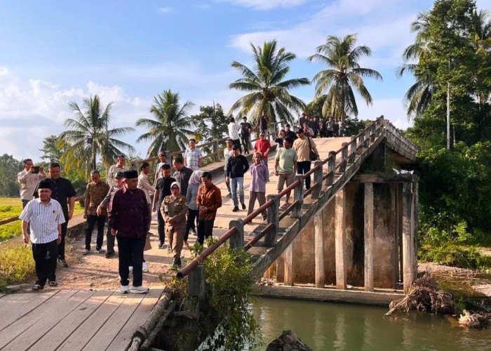 Bupati Bursah Zarnubi Segerakan Perbaikan Jembatan di Desa Lubuk Atung
