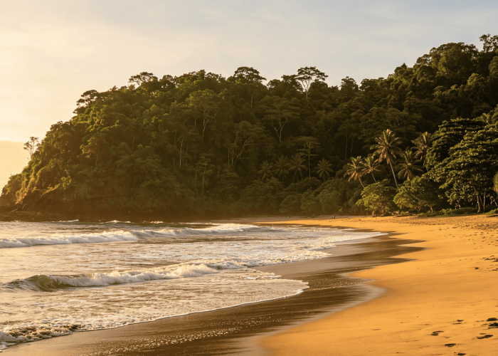 Wisata Pantai Pangandaran: Pesona Pantai Selatan, Cagar Alam Pananjung, dan Surga Liburan Keluarga