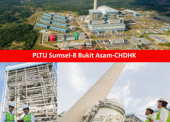 PLTU Sumsel-8 Resmi Beroperasi Secara Komersial, Pembangkit CHDHK dan PT Bukit Asam Tbk (PTBA)