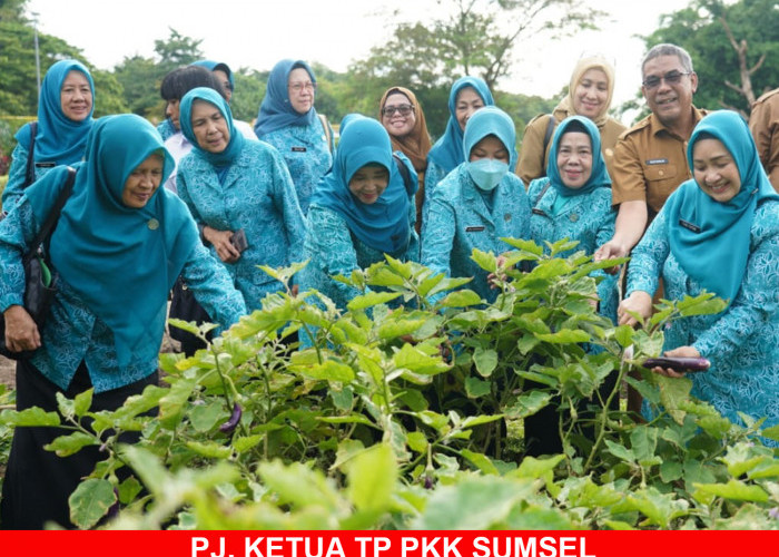 Pj Ketua TP PKKK Sumsel Tyas Fatoni Panen Sayur di Kitchen Garden JSC Palembang, Edukasi Tekan Inflasi