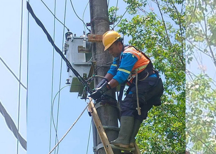 Listrik Padam Ada Pemeliharaan, PLN ULP Lembayung Lakukan Uprating A3CS, Perkuat Keandalan Tegangan