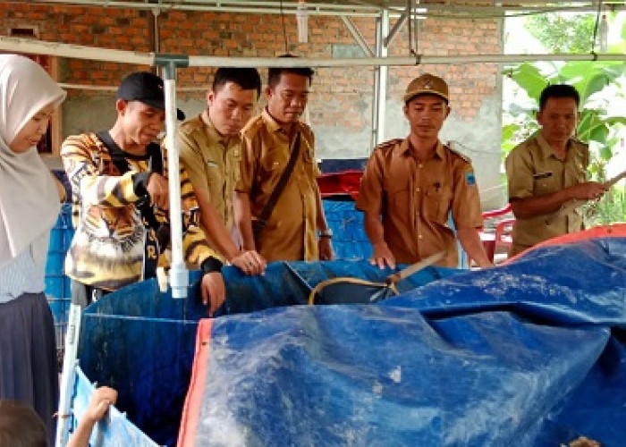 Ketahanan Pangan Purwosari Jadi Percontohan di Kecamatan Merapi Barat 