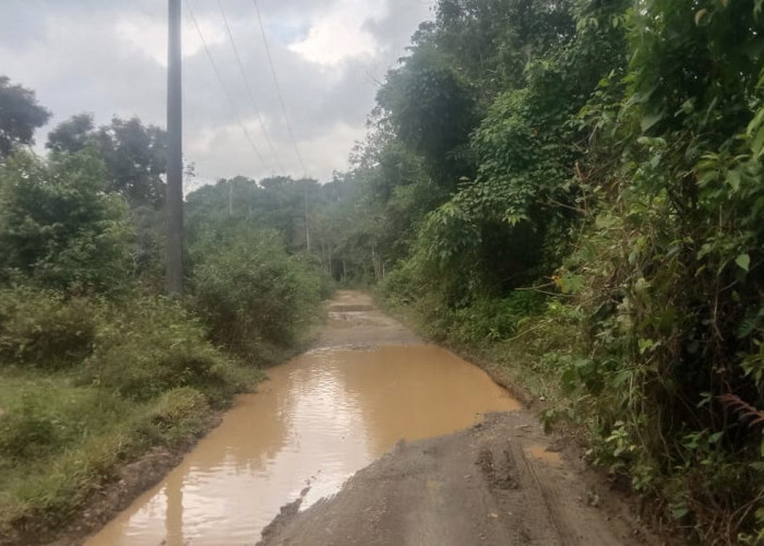 Jalan Penghubung Desa Sukarami dan Lubuk Seketi Memprihatinkan, Warga Mengeluh