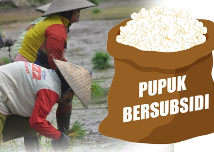 HET Pupuk Subsidi Turun, Petani Diminta Laporkan Pengecer Nakal