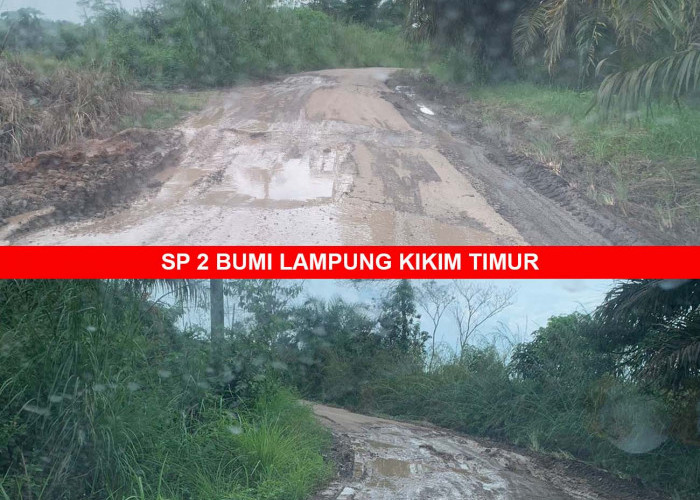 Jalan SP2 Bumi Lampung Lahat Belum Aspal, Banyak Lobang Besar Merusak Mobil yang Melintas